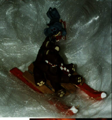 Skier